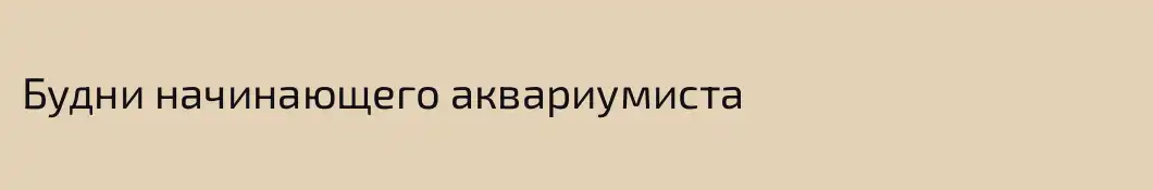 Будни начинающего аквариумиста